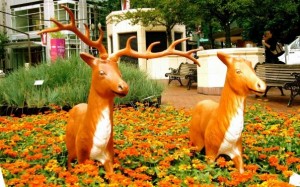 Portland Pioneer Deer